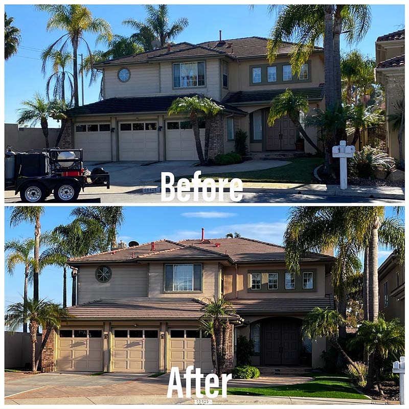 why choose Crocodile Window Cleaning & Pressure Washing